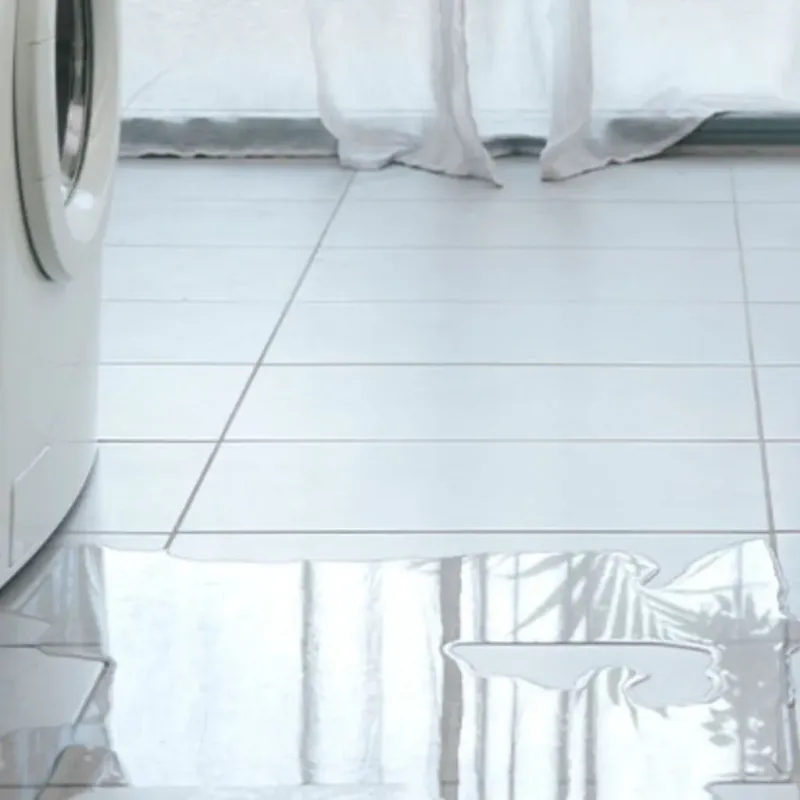 Appliance Leak Cleanup in Rushville, IL