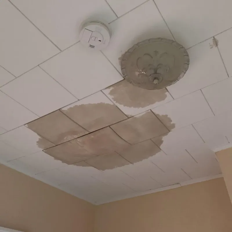 Ceiling Water Damage Repair in Rushville, IL