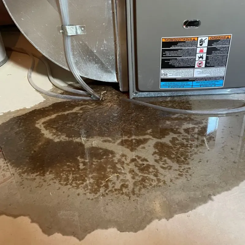 Pipe Burst and Leak Restoration in Rushville, IL