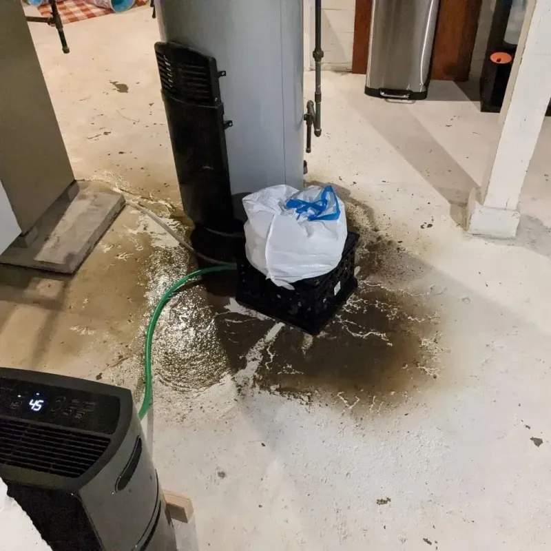 Sewage Backup Cleanup Service in Rushville, IL